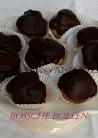 Bossche bol